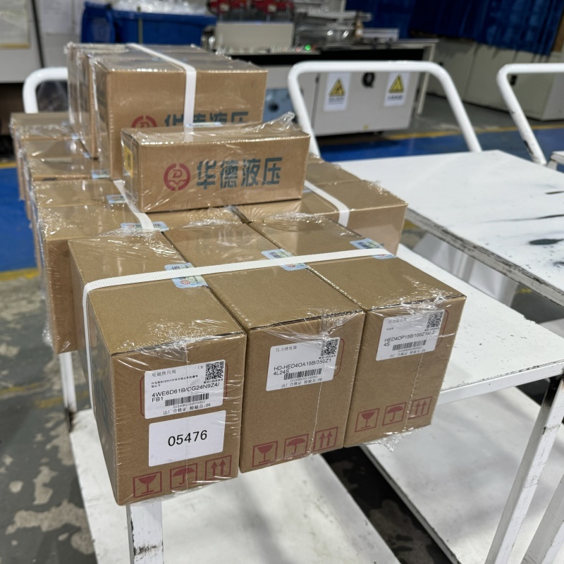 Halad Hydraulesch kann diversifizéiert hydraulesch Ventilverpackung Personaliséierungsservicer ubidden